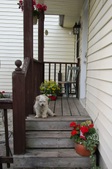 Enlarge photo 106