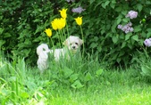 Enlarge photo 144