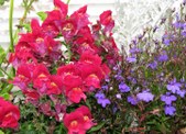 Enlarge photo 31