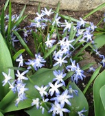 Enlarge photo 112