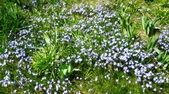 Enlarge photo 86