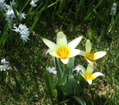 Enlarge photo 113