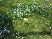 Enlarge photo 114