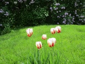 Enlarge photo 143