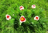 Enlarge photo 142