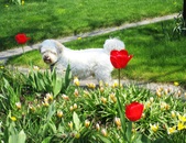 Enlarge photo 99