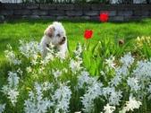 Enlarge photo 98