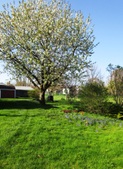 Enlarge photo 97