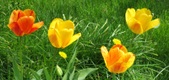 Enlarge photo 103