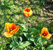 Enlarge photo 102