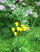 Enlarge photo 145