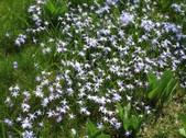 Enlarge photo 110