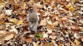 Enlarge photo 157
