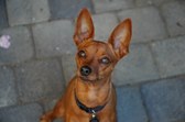 Enlarge photo 14