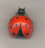 Nemo%20Ladybug%20Pin.jpg