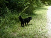 Enlarge photo 34