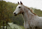 Enlarge photo 27