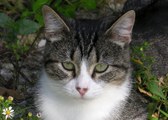 Enlarge photo 30