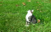 Enlarge photo 32