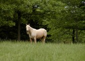 Enlarge photo 35