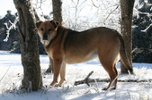 Enlarge photo 10