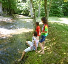 Enlarge photo 5
