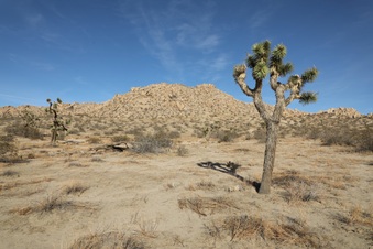 DW Ranch