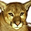 gcat photo