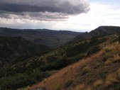 Enlarge photo 63