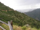 Enlarge photo 64