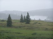 Enlarge photo 108