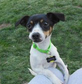 Aala ADOPTED :)