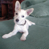 Ali ADOPTED :)