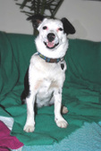 Altea ADOPTED :)