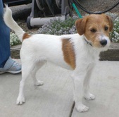 Andy - ADOPTED: )