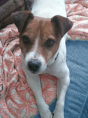 Archie ~Adopted: )