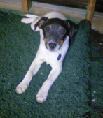 Bonnie-Adopted: )