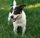 Buster~RIP little one...