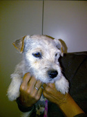 Cracker ADOPTED: )