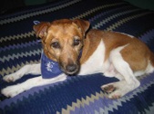 Eddie G (Adopted: )