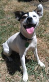 Liza -Adopted: )