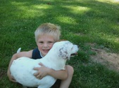 Lucy~~ ADOPTED: )