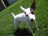 Lucy ~~Adopted : )