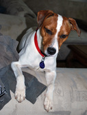 Obie Adopted: )