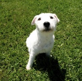 Penny Pepper Adopted: )