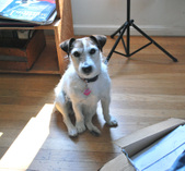 Sara: ADOPTED: )!