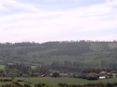Enlarge photo 43