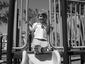 Enlarge photo 54