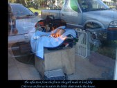 Enlarge photo 59