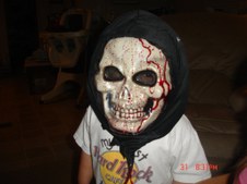 Enlarge photo 48
